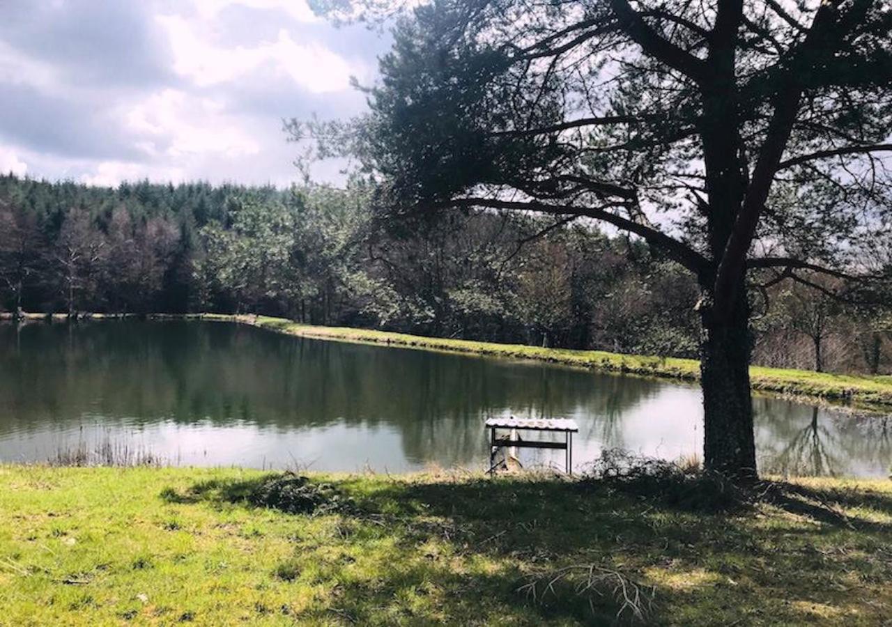 Morvan La Pastourelle Quarré-les-Tombes Exterior foto